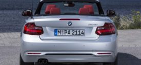 BMW-2-Series-Convertible-Puddle-Lamp-BMW-Logo