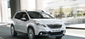 Peugeot 2008 Crossover Roof Rack