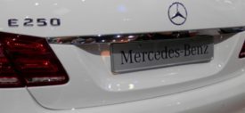 Mercedes Benz E-Class 2014 backseat