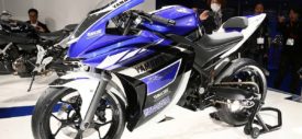Yamaha 250 cc R25