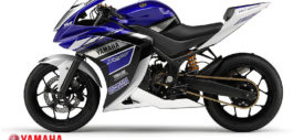 Yamaha 250cc R25