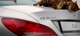 Kucing pun Terpeleset Karena Aerodinamika Mercedes-Benz CLA
