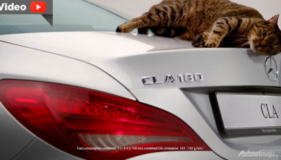 Kucing pun Terpeleset Karena Aerodinamika Mercedes-Benz CLA Kucing pun Terpeleset Karena Aerodinamika Mercedes-Benz CLA