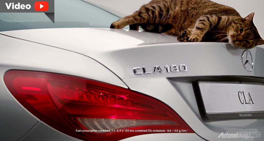 International, Iklan lucu mobil Mercedes-Benz versi kucing terpeleset: Kucing pun Terpeleset Karena Aerodinamika Mercedes-Benz CLA
