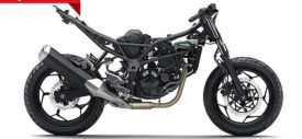 Akankah Kawasaki Memberikan Opsi Kawasaki Z250SL