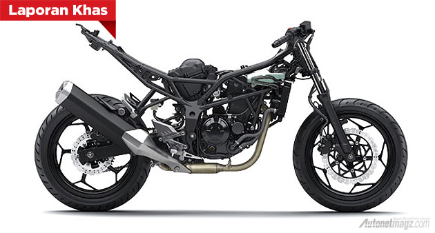 Kawasaki Ninja 250SL naked bike?