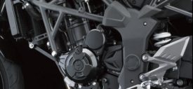 Kawasaki Ninja 250SL wheel gear