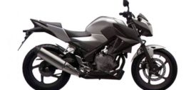 Honda-CB300F-naked-bike-rear