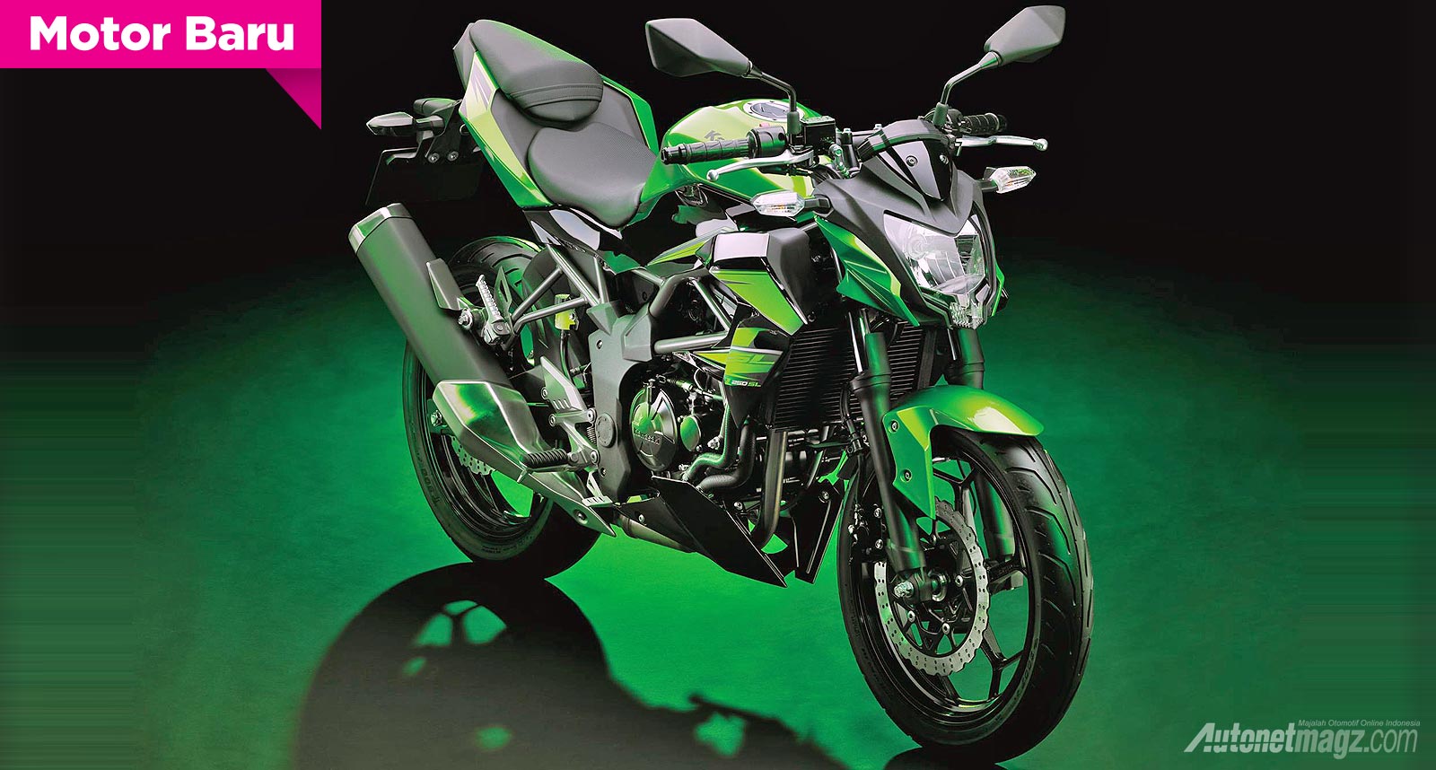 94 Gambar Motor Kawasaki Ninja Z250 Terbaru Tales Modif