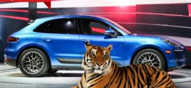 Edan! Porsche Akan Gunakan Macan Betulan Untuk Promosikan Porsche Macan