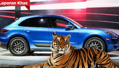 Edan! Porsche Akan Gunakan Macan Betulan Untuk Promosikan Porsche Macan
