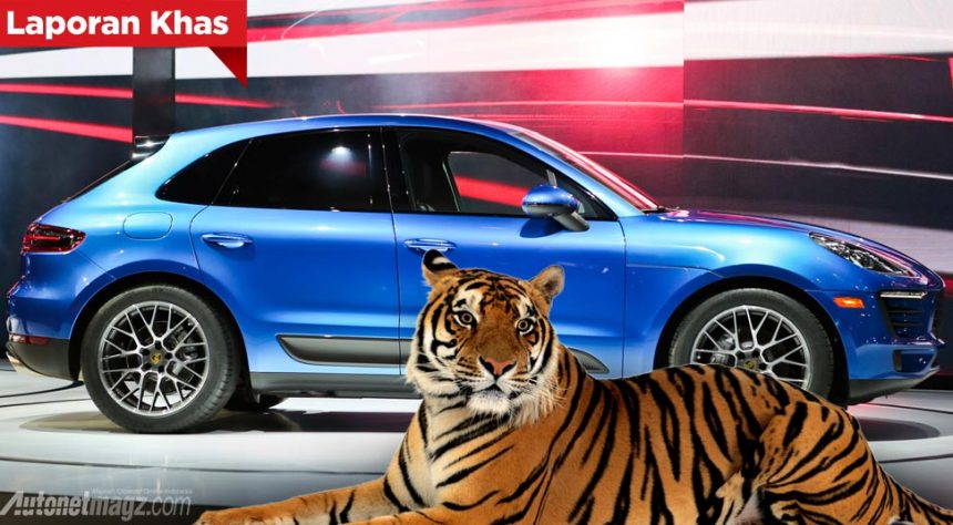 Edan! Porsche Akan Gunakan Macan Betulan Untuk Promosikan Porsche Macan