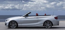 BMW-2-Series-Convertible-Rearend