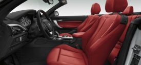 BMW-2-Series-Convertible-Red-Leather-Seat