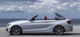 BMW-2-Series-Convertible-Red-Leather-Seat