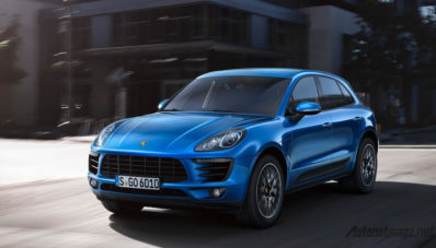 Porsche Akan Tingkatkan Populasi Macan di Amerika Serikat