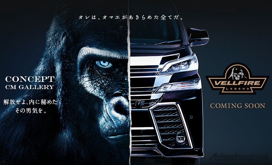 Berita, Toyota-Vellfire-Gorilla-Face: Toyota Alphard 2015 Baru Rupanya Terinspirasi dari Gorilla