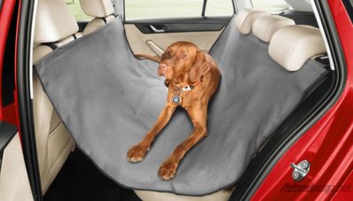 Unik, Skoda Perkenalkan Seatbelt Khusus Hewan Peliharaan