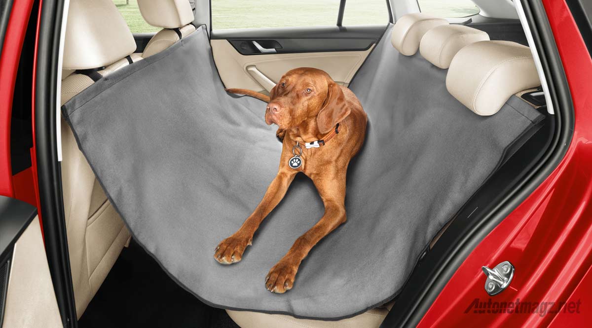 Berita, dog-matress: Unik, Skoda Perkenalkan Seatbelt Khusus Hewan Peliharaan