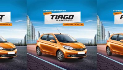 Pilih Nama Baru Tata Zica : Civet, Adore atau Tiago?
