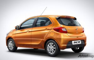 Pilih Nama Baru Tata Zica : Civet, Adore atau Tiago? Pilih Nama Baru Tata Zica : Civet, Adore atau Tiago?