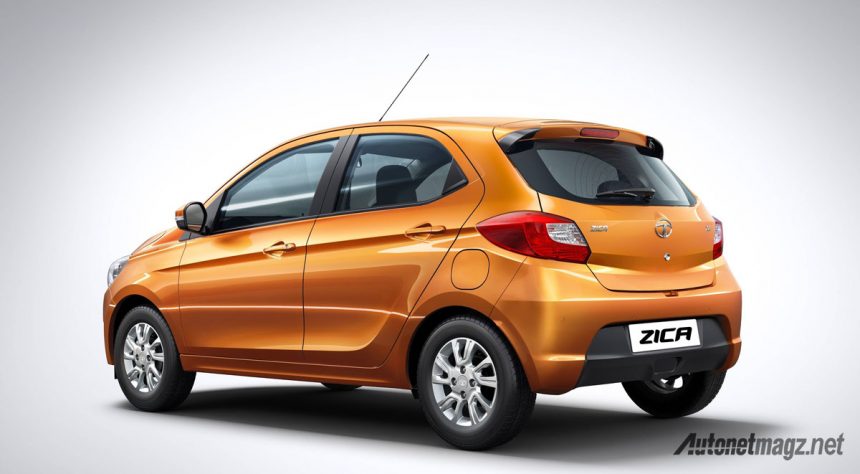 Pilih Nama Baru Tata Zica : Civet, Adore atau Tiago?