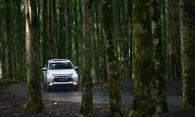 Mitsubishi-Pajero-Sport-Dakar-Forest