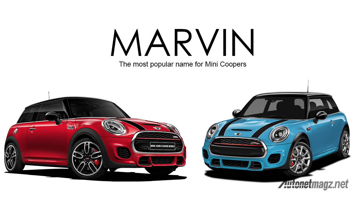 International, marvin nama terpopuler mini cooper: Marvin, Nama Panggilan Terpopuler Untuk Mini Cooper