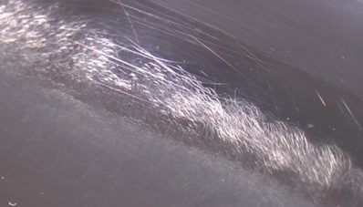 Ferrari LaFerrari Kondisi Baru Tapi Sudah Baret Halus, Kok Bisa? Ferrari LaFerrari Kondisi Baru Tapi Sudah Baret Halus, Kok Bisa?