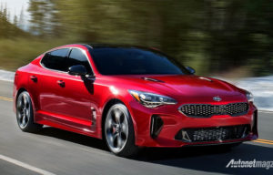Bos Desain KIA : Stinger Harus Jadi EV Kalau Mau Bertahan Bos Desain KIA : Stinger Harus Jadi EV Kalau Mau Bertahan