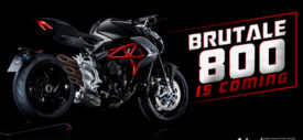 brutale800-new2