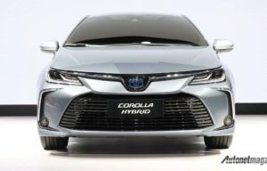 All New Toyota Corolla Batal Ke India, Versi Suzuki Juga Batal Muncul All New Toyota Corolla Batal Ke India, Versi Suzuki Juga Batal Muncul