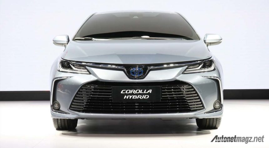 All New Toyota Corolla Batal Ke India, Versi Suzuki Juga Batal Muncul All New Toyota Corolla Batal Ke India, Versi Suzuki Juga Batal Muncul