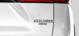 Wajah depan Hyundai Stargazer