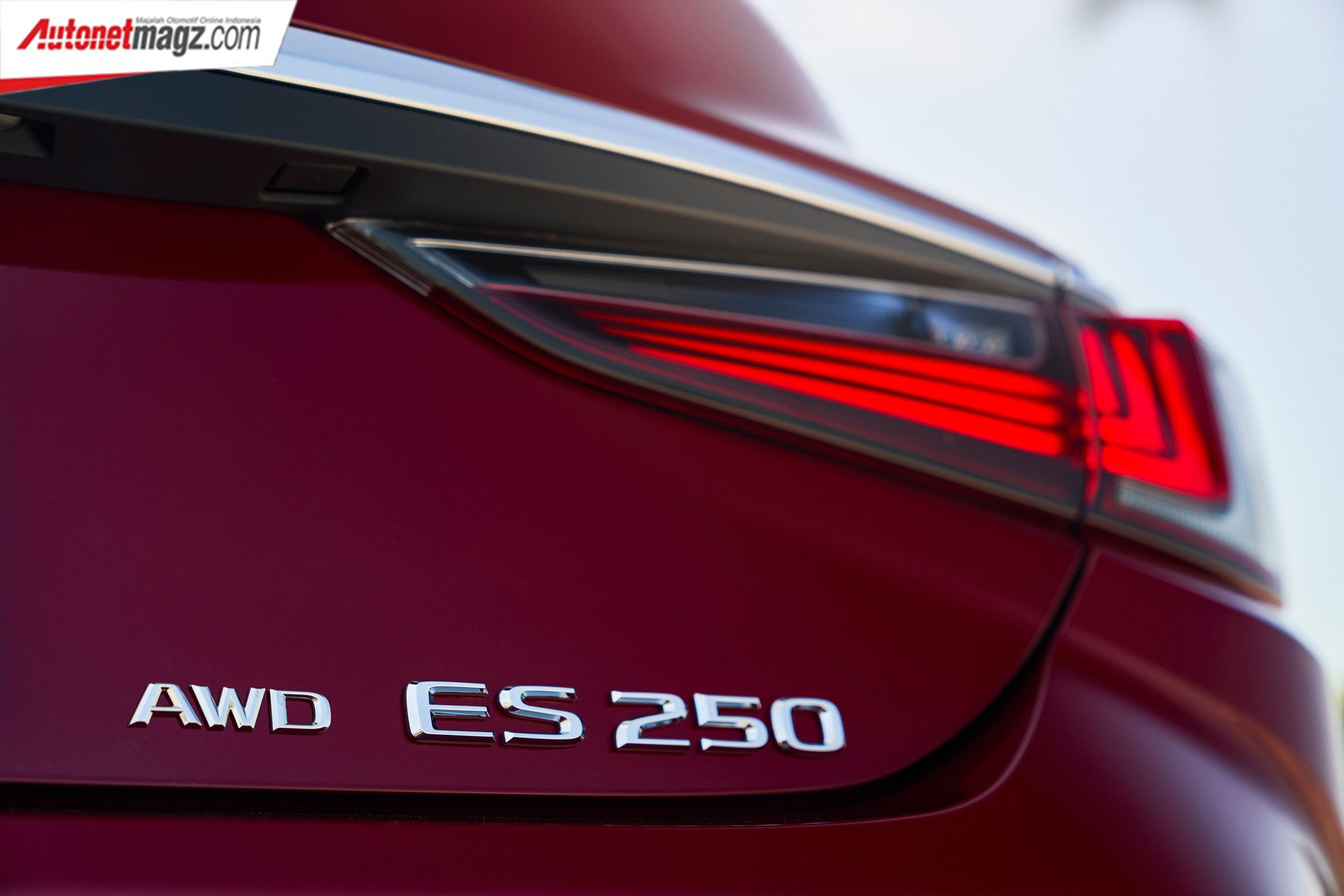 Berita, Lexus-ES-AWD-250-3: Lexus ES 2021 : Dapat All Wheel Drive Dan Ada Edisi Spesial