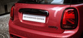 mini-cooper-rosewood-edition-detail