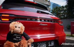 Macan Selamatkan Orangutan : Porsche Indonesia Peduli Satwa Liar Macan Selamatkan Orangutan : Porsche Indonesia Peduli Satwa Liar