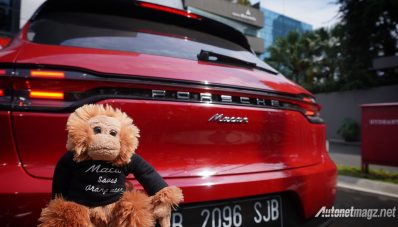 Macan Selamatkan Orangutan : Porsche Indonesia Peduli Satwa Liar Macan Selamatkan Orangutan : Porsche Indonesia Peduli Satwa Liar
