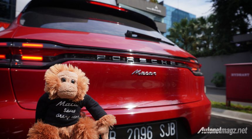 Macan Selamatkan Orangutan : Porsche Indonesia Peduli Satwa Liar Macan Selamatkan Orangutan : Porsche Indonesia Peduli Satwa Liar