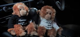 porsche-macan-saves-orang-utan-sport-steering-wheel