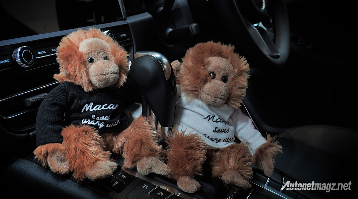 Berita, porsche-macan-saves-orang-utan-pdk-gearbox: Macan Selamatkan Orangutan : Porsche Indonesia Peduli Satwa Liar
