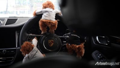 Macan Selamatkan Orangutan : Porsche Indonesia Peduli Satwa Liar Macan Selamatkan Orangutan : Porsche Indonesia Peduli Satwa Liar