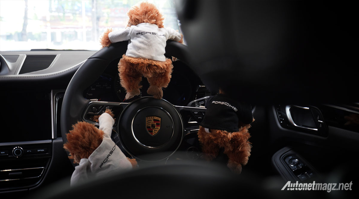 Berita, porsche-macan-saves-orang-utan-sport-steering-wheel: Macan Selamatkan Orangutan : Porsche Indonesia Peduli Satwa Liar