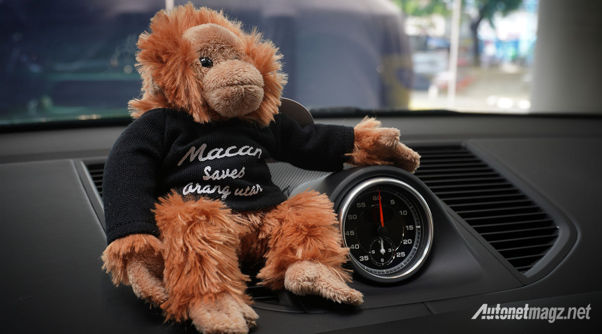 Berita, porsche-macan-sport-chrono-clock-orang-utan: Macan Selamatkan Orangutan : Porsche Indonesia Peduli Satwa Liar
