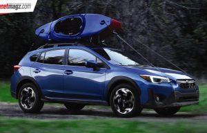 Subaru : Tahun 2020 adalah Tahun yang Konyol
