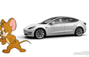 Kabel Tesla Mulai Rentan Digigit Tikus, Ini Sebabnya!