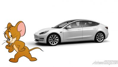 Kabel Tesla Mulai Rentan Digigit Tikus, Ini Sebabnya! Kabel Tesla Mulai Rentan Digigit Tikus, Ini Sebabnya!