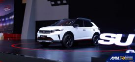 Honda SUV RS Concept Baru