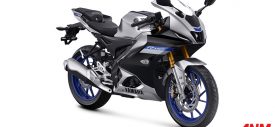 All New Yamaha R15M 2021