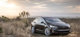 Inden Tesla Model X Mencapai 2 Tahun, Ada Apa?